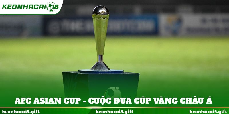 AFC Asian Cup - Cuộc đua cúp vàng châu Á