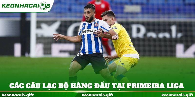 Các câu lạc bộ hàng đầu tại Primeira Liga