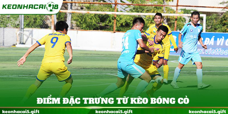 Điểm đặc trưng từ kèo bóng cỏ