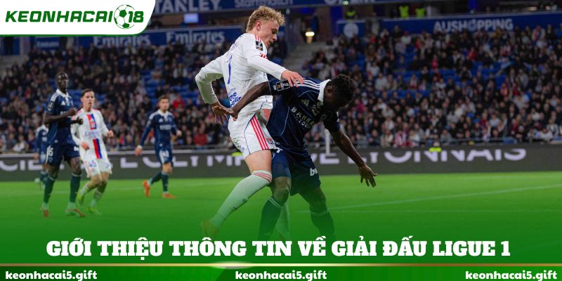 Giới thiệu thông tin về giải đấu Ligue 1