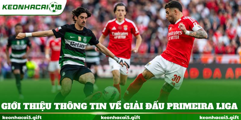 Giới thiệu thông tin về giải đấu Primeira Liga