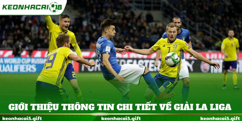 Giới thiệu thông tin chi tiết về giải La Liga
