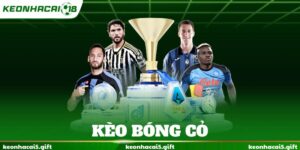 Kèo bóng cỏ