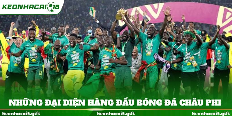 Những đại diện hàng đầu bóng đá châu Phi