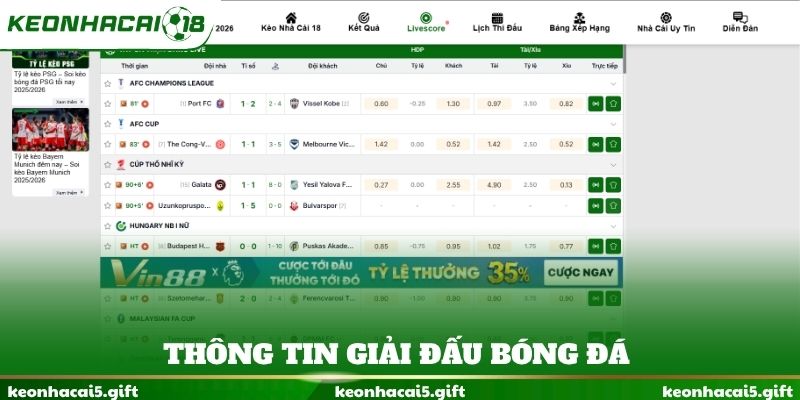 Thông tin giải đấu bóng đá