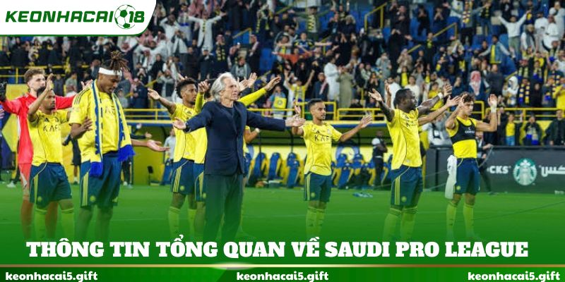 Thông tin tổng quan về sự kiện Saudi Pro League