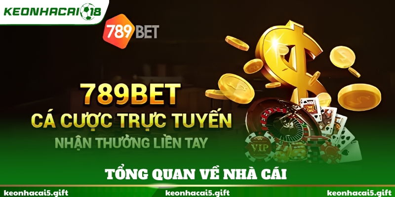 Tổng quan về nhà cái