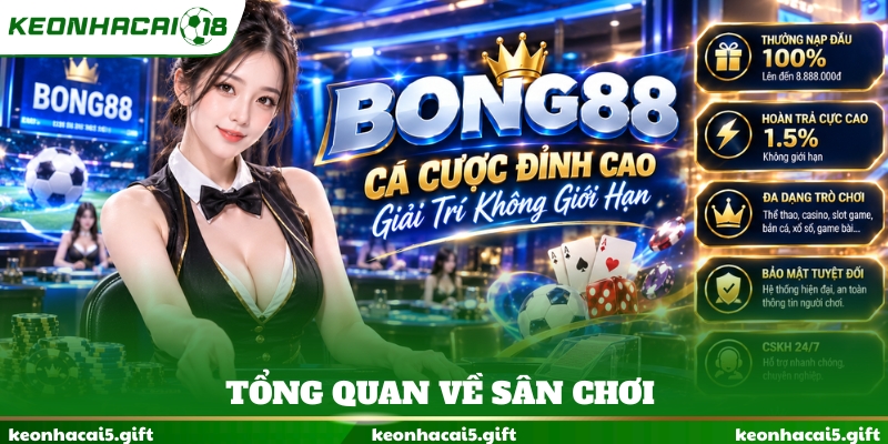 Tổng quan về sân chơi