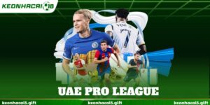 UAE Pro League