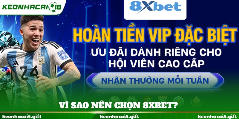 Vì sao nên chọn 8XBET?